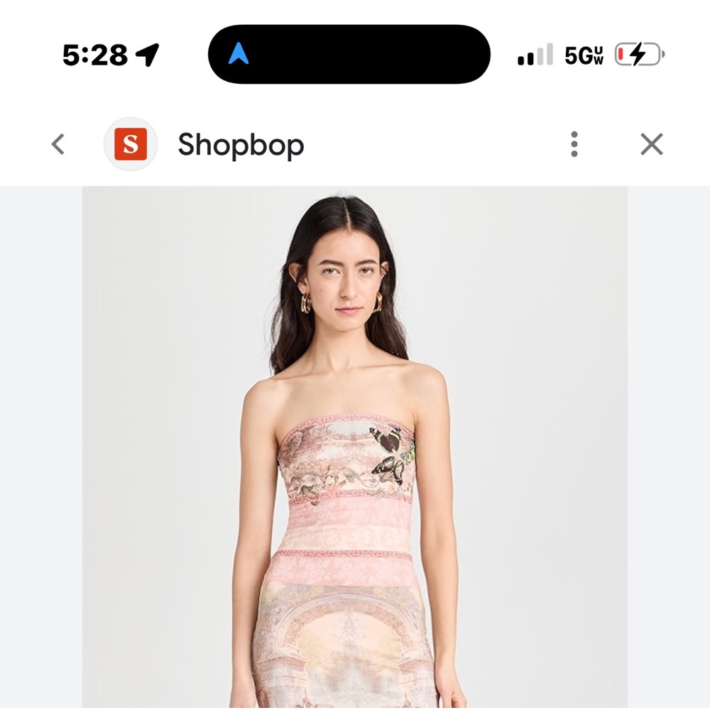 Alice + Olivia Strapless Pink Scenic Print Maxi Dress